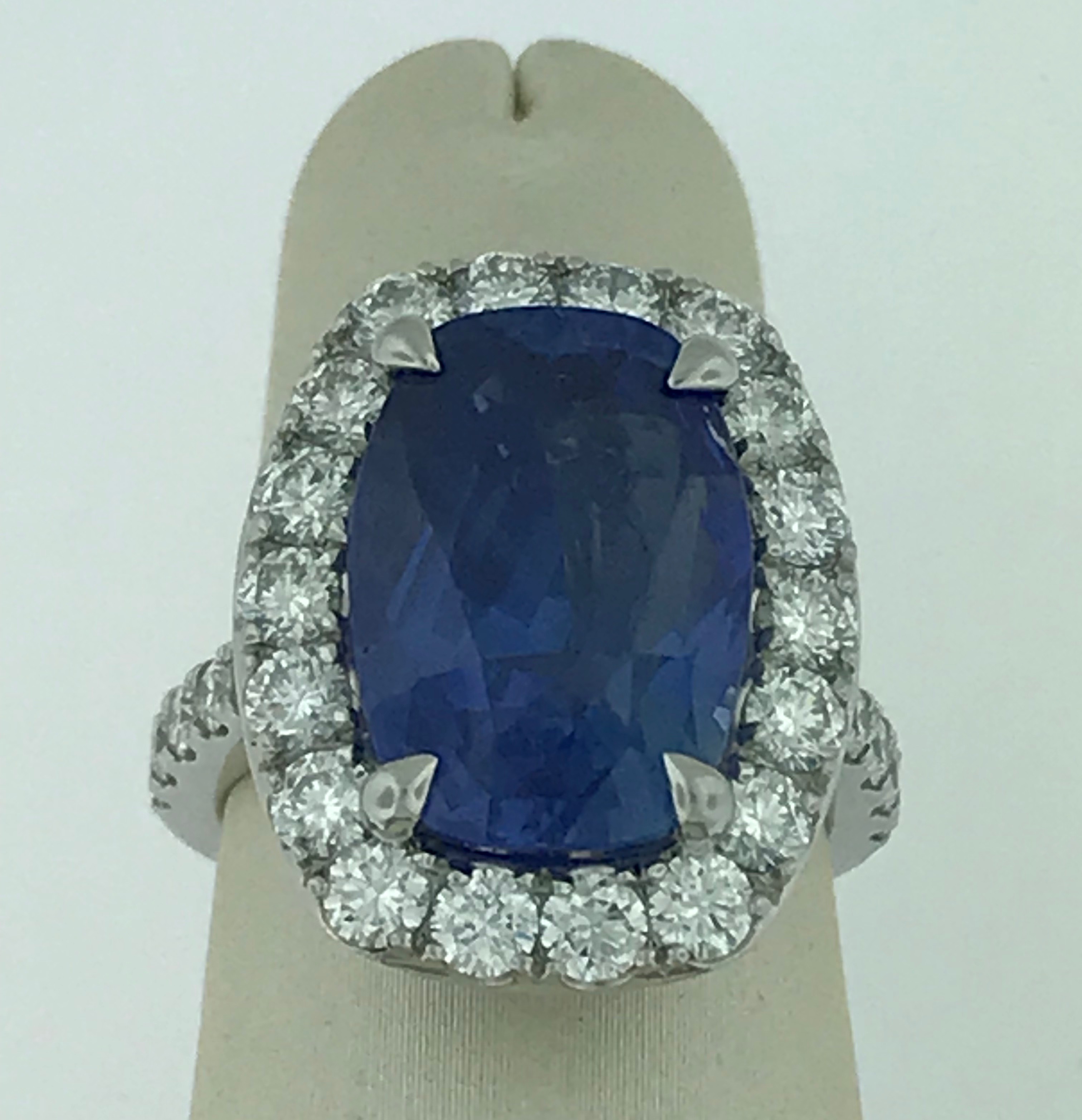 Collection of sapphire gemstones in various cuts